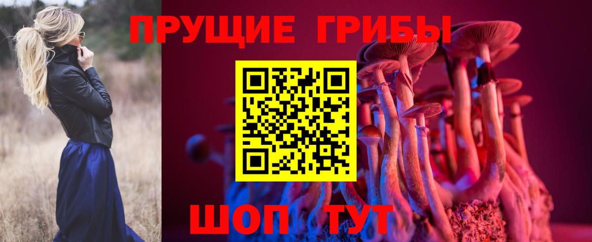 Кирово-Чепецк  даркнет сайт  Галлюциногенные грибы мухоморы  Вход с VPN  Псилоцибиновые грибы прущие грибы 